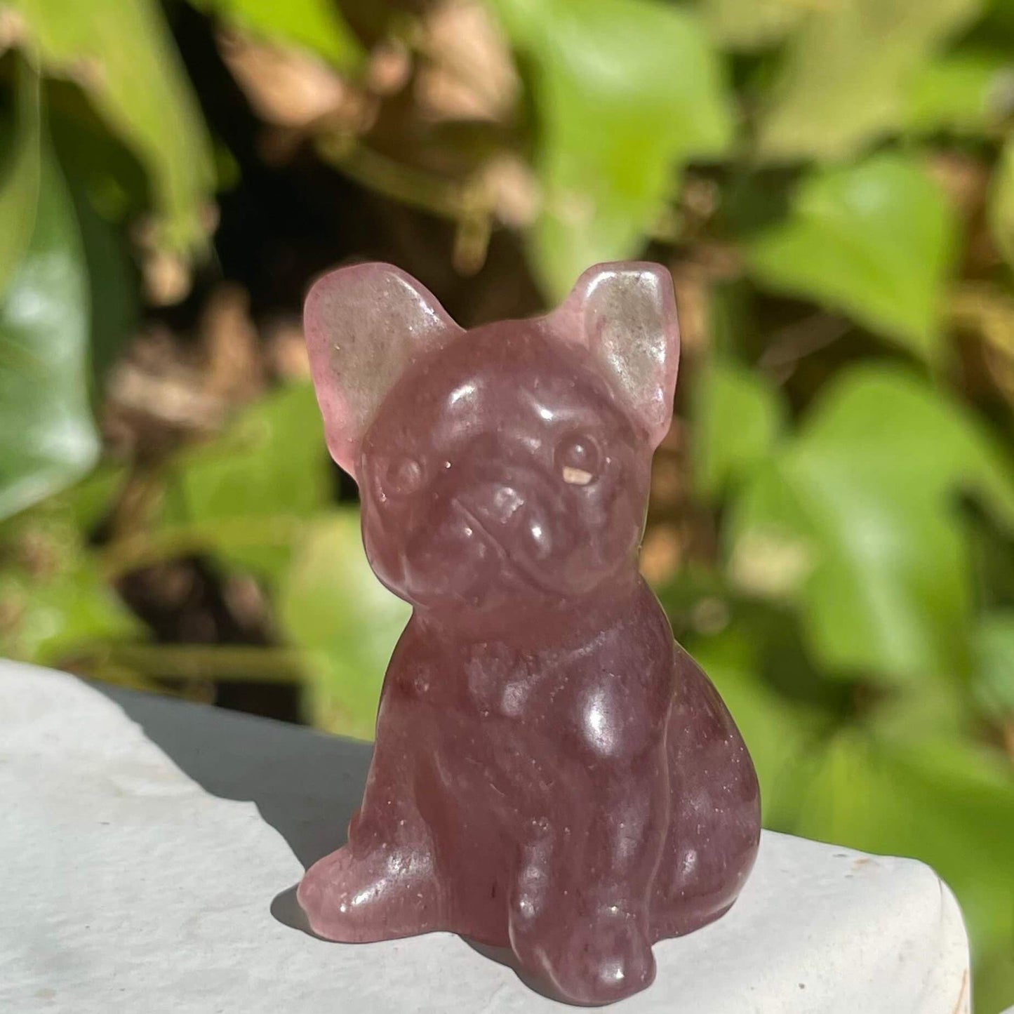 bulldog de cuarzo starwberry necesario en tu vida para limpiar las vibraciones y atraer la buena suerte