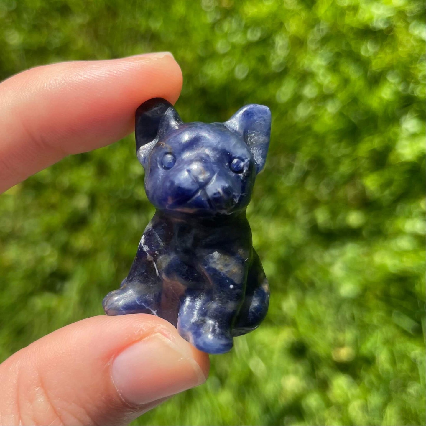 Figura de perro de sodalita alta calidad