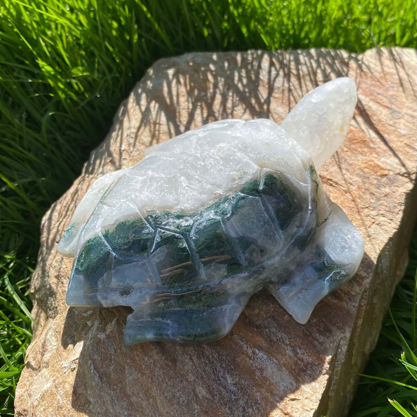 tortuga de agata para estabilidad y meditar